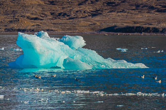 Svalbard - Spitzbergen